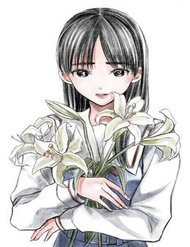 Truyện Tranh Madonna Lily